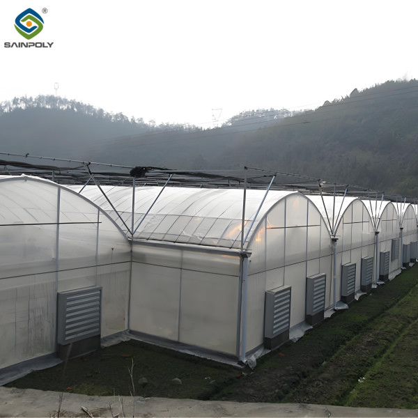 Computerized Control Agricultural Greenhouse Vegetable Growing Greenhouse Customizable Size