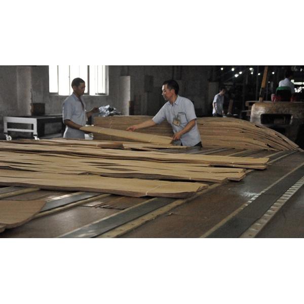 OEM Birds Eye Dyed Wood Veneer Burl Grain Color Customization