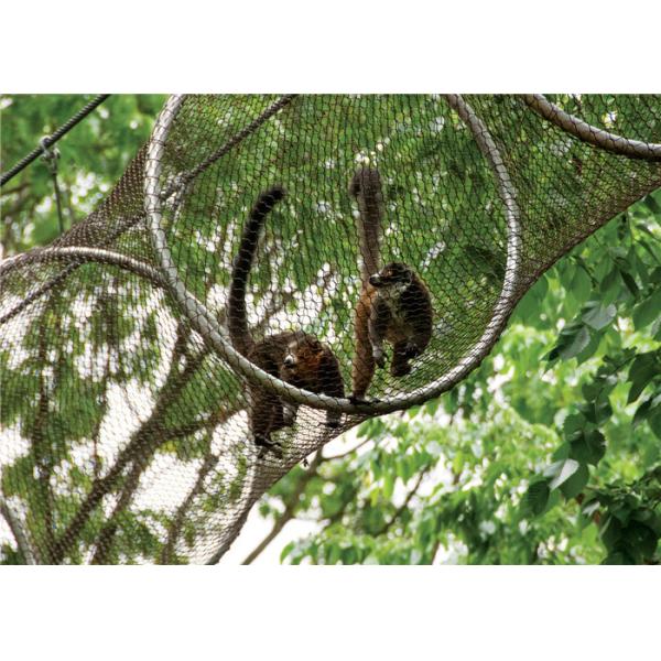 Galvanized Stainless Steel Zoo Mesh , Custom Size Animal Enclosure Netting