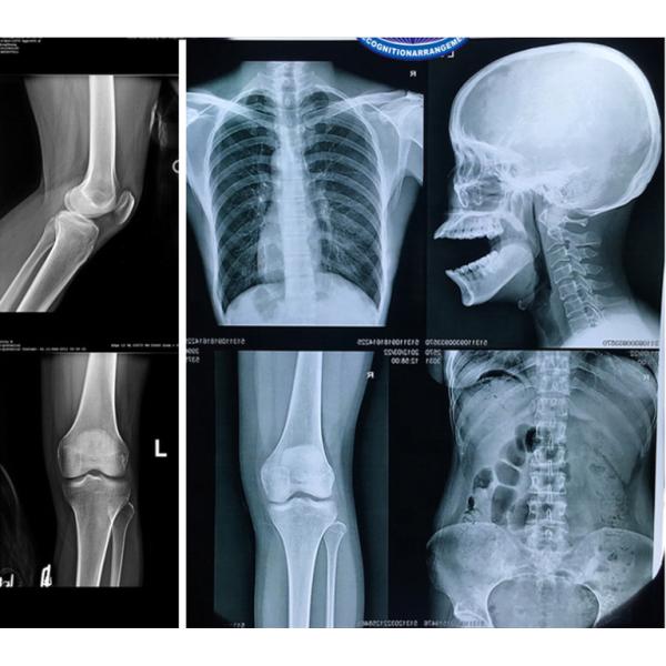 Canon Epson Inkjet Printer Film 10x12 Inch