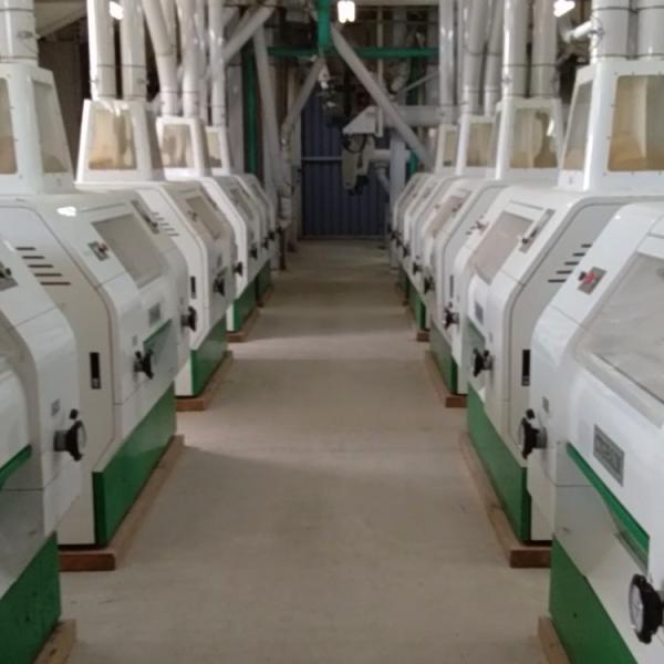 Bottom price China 400 Tpd Wheat Flour Mill Automatic Wheat Flour Mill for Flour Plant