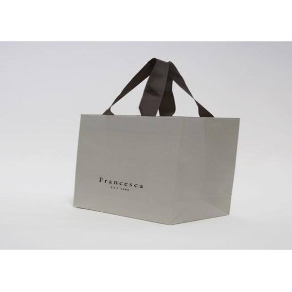 Beach/Swimming waterproof bag