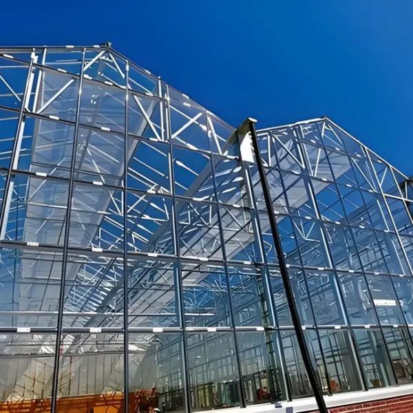 Intelligent Temperature-Controlled Venlo Glass Flower Greenhouse