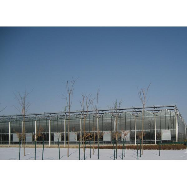 Automatic PC Sheet Greenhouse , Rigid Plastic Sheets Greenhouse Customized Span