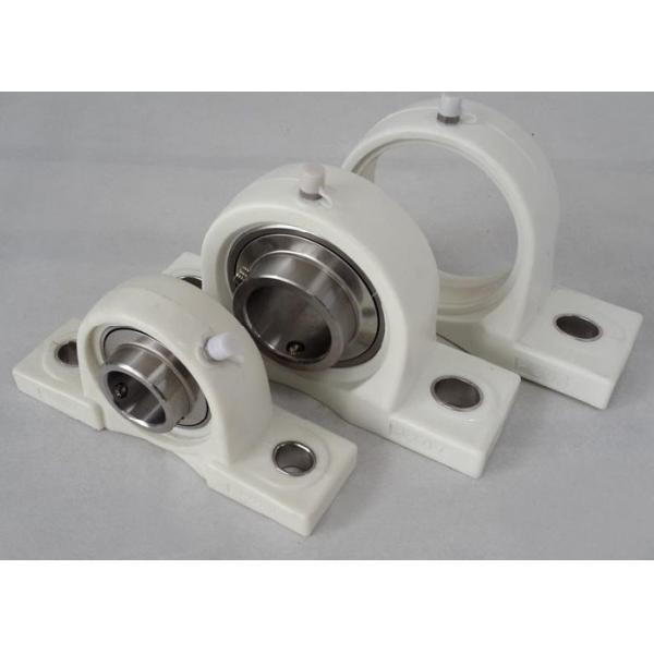 PBT Housing Plastic Pillow Block Bearing With POM , HDPE , PP , UPE , PTFE , PEEK
