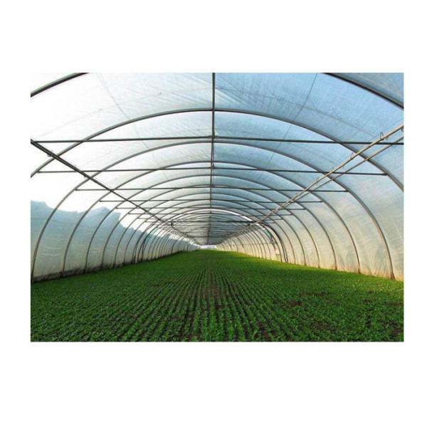 Agricultural Greenhouse Steel Pipe High Tunnel Durable Maintenance Free