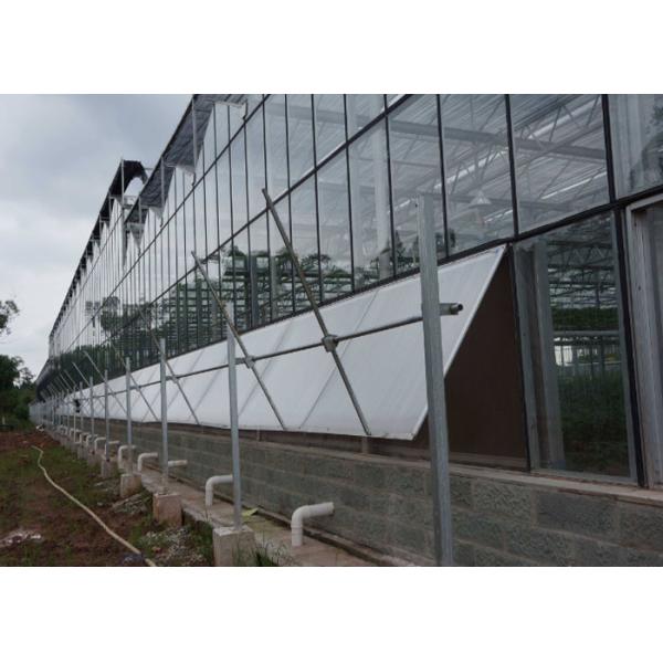 Venlo Roof Type PC Sheet Greenhouse , Agricultural Greenhouse For Strawberries