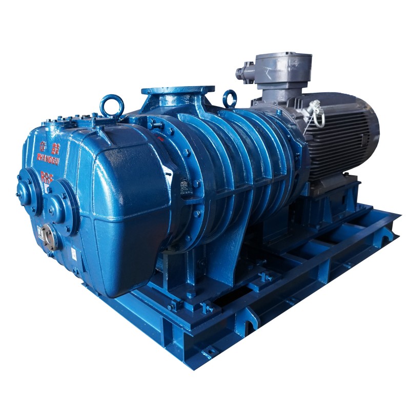 High Efficiency Roots Blower Vacuum Pump For Continuous Duty Operation