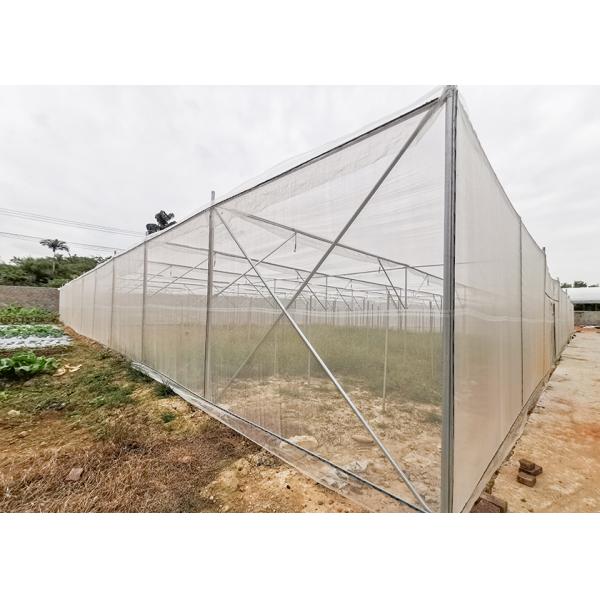 Multi Span Shade Net Greenhouse Rustproof For Strawberry And Mushroom
