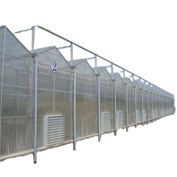 Polycarbonate Sheet Covering Transparent Solar Panels for Greenhouses in High Demand