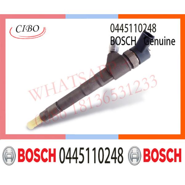 0445110247 0445110248 504088823 504380117 71793015 2995472 For  / FAIT / Hyundai / New Holl And