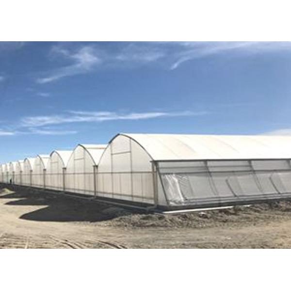 Vegetables Flowers Plastic Film Greenhouse Light Deprivation Roof Vents