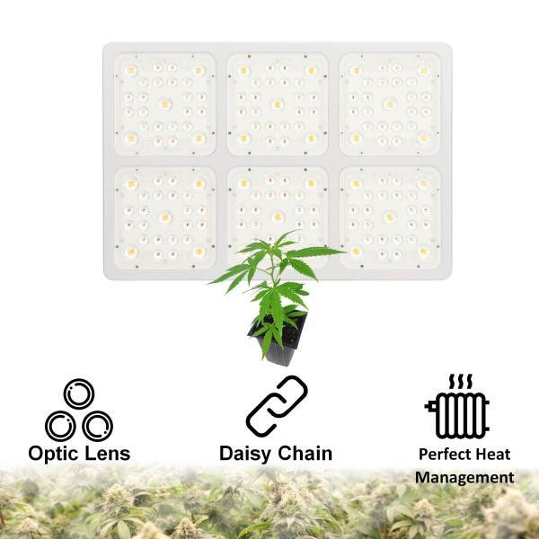 120° Beam Angle COB LED Grow Light Panel For Greenhouse Three Lighting Modes
