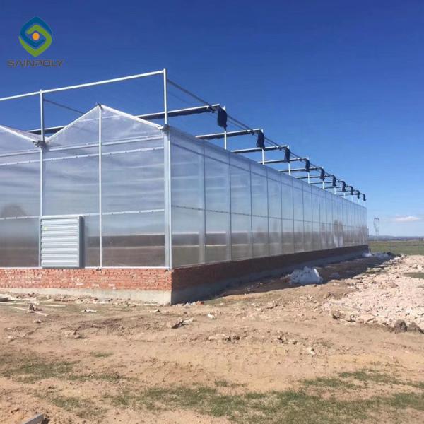 12m Multi Span Clear Polycarbonate PC Sheet Greenhouse