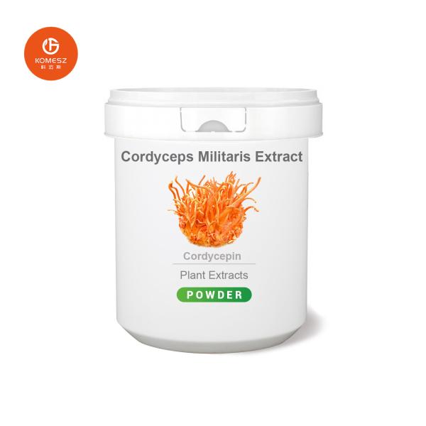 High Quality Cordyceps CS-4 / Cordyceps Militaris Extract / Cordyceps Sinensis Extract Powder