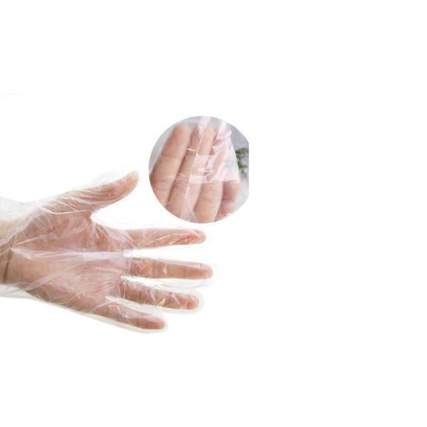 Biodegradable Disposable Transparent Clear Plastic Gloves OEM / ODM Available