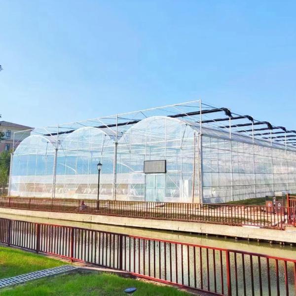 UV Resistant Plastic PE Film Tunnel Fruit Agricultural Greenhouse