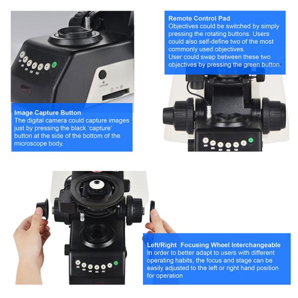 OPTO EDU A16.1093-L Trinocular LED Upright Fluorescent Light Microscope Semi Auto