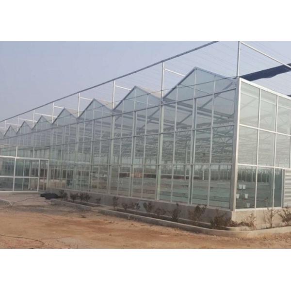 High Grade Galvanized Pipe Greenhouse Glass Covering Commercial