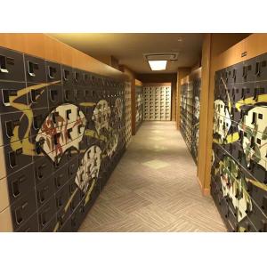 Shoe Storage Locker