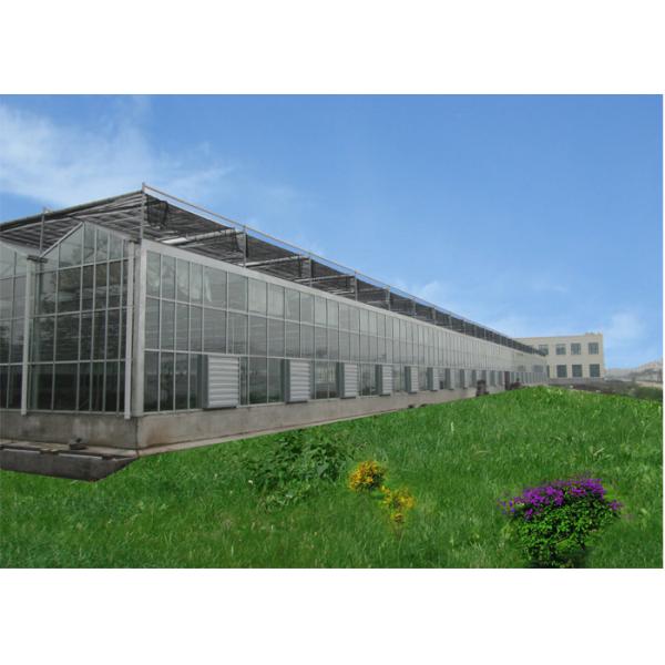 Remote Control Agricultural Greenhouse , Multi Span Glass Greenhouse For Tomato Production