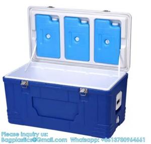 China Custom Medical Organ Transport Portable Cooler Wine Beer Styrofoam Ice Chest Thermal Bag Food Large Cooler Box on sale