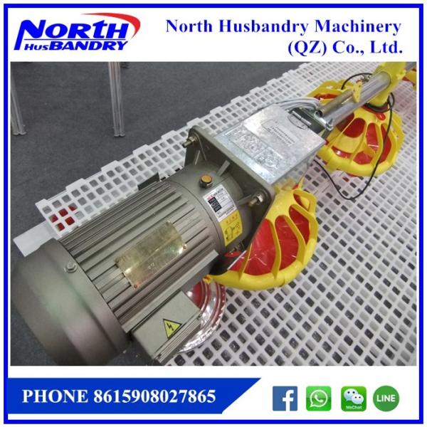 poultry feed line for Automatic poultry broiler feed