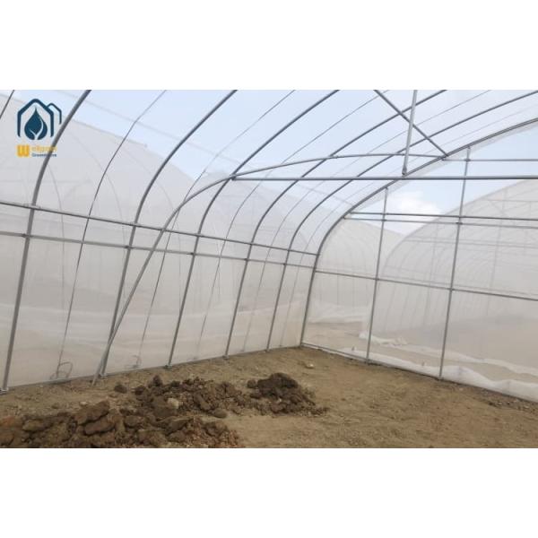 Agricultural Plastic Polytunnel Greenhouse Single Span For Vegetable Fruits Flowers