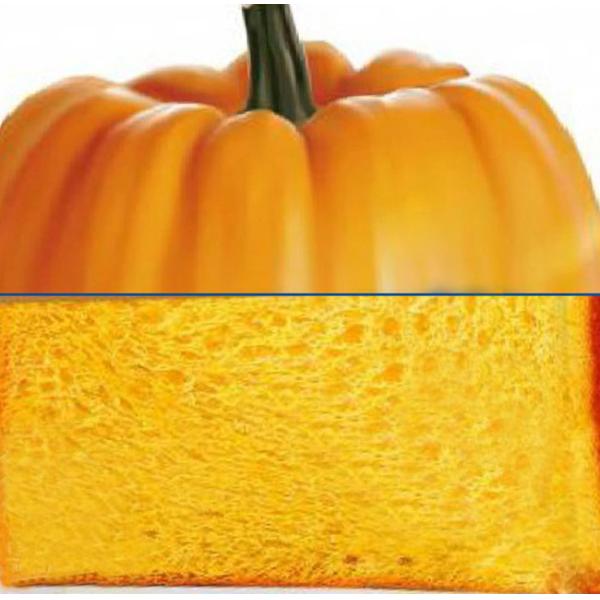 Direct Wholesale Pumpkin Toast with Retail Bulk Package