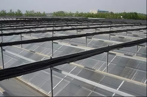 PC Sheet Commercial Outdoor Greenhouse , Cooling Pad Greenhouse Shading Systems
