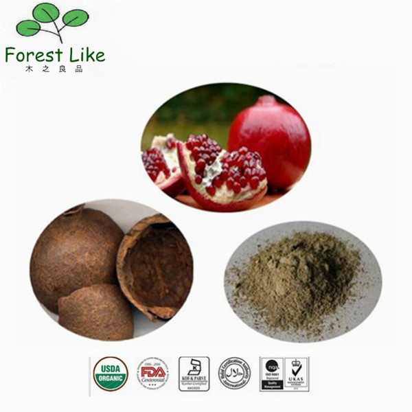 Ellagic Acid / Gallogen 40 % - 90 % Pomegranate Peel Extract
