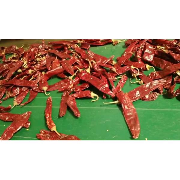 Dehydrate Sweet Paprika Pepper Non Irradiated Dried Red Chili Pods 140 Atsa