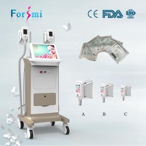  Fat cavitation slimming system cryolipolisis machine for fat freezing treatments Manufactures