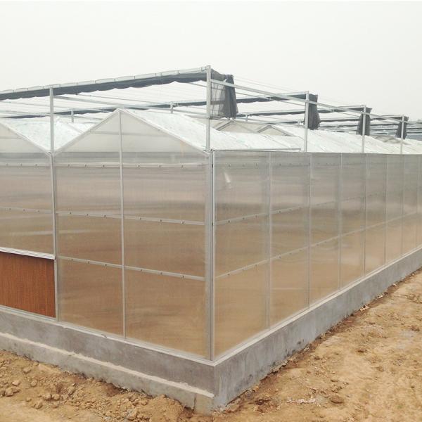 Greenhouse Plastic Sheet/PC Sheet Greenhouse with Stable Structure and Vents