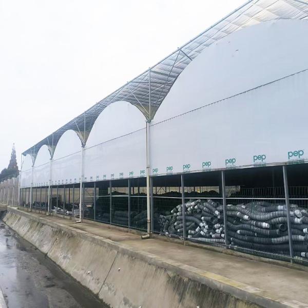 Smart Light Deprivation Multi-span Black Shade Film Greenhouse