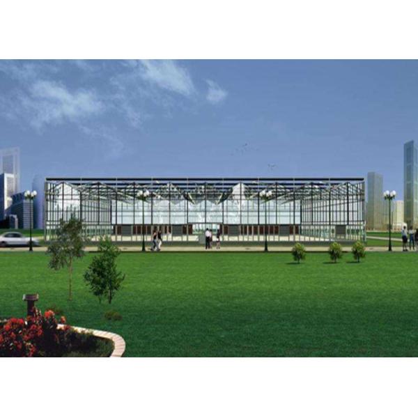 Agriculture Multi Span Polycarbonate Sheet Greenhouse