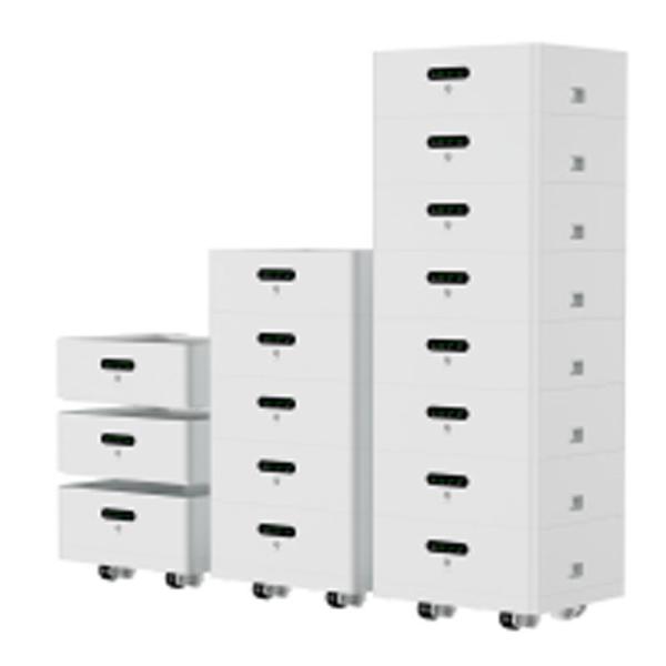 Energy Storage LiFePo4 Battery Pack 51.2V 100Ah