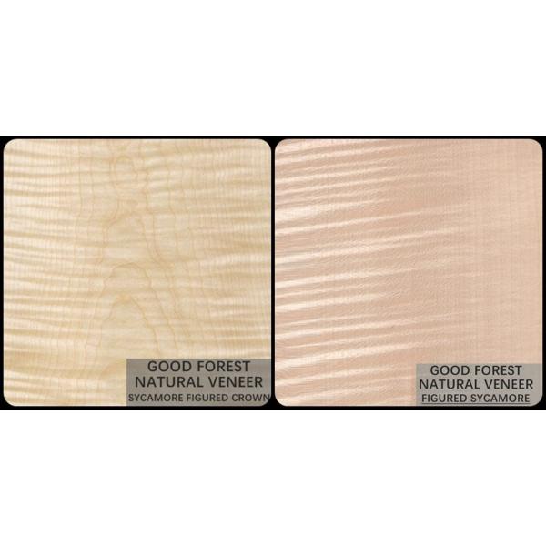 Natural Sycamore Figured Wood Veneer 0.3mm - 0.5mm For Interior Doors