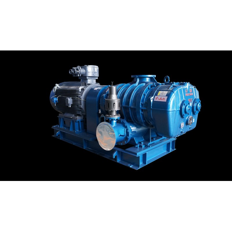 Cutting Edge Engineering Roots Vacuum Pump Single stage For Improving Efficiency