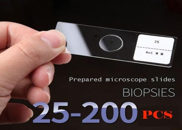 Custom Animal Prepared Microscope Slides With Anti Scratching Edges