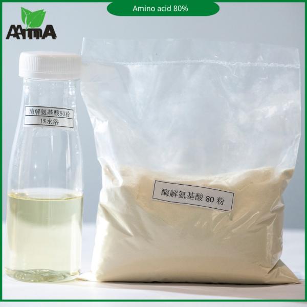 Organic Enzymatic Hydrolysis Amino Acid 80% Powder For Plants Foliar Fertilizer
