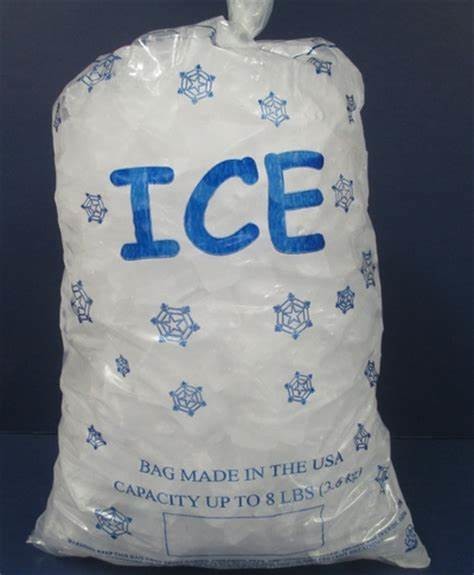 10LBS Reusable Ice Bags