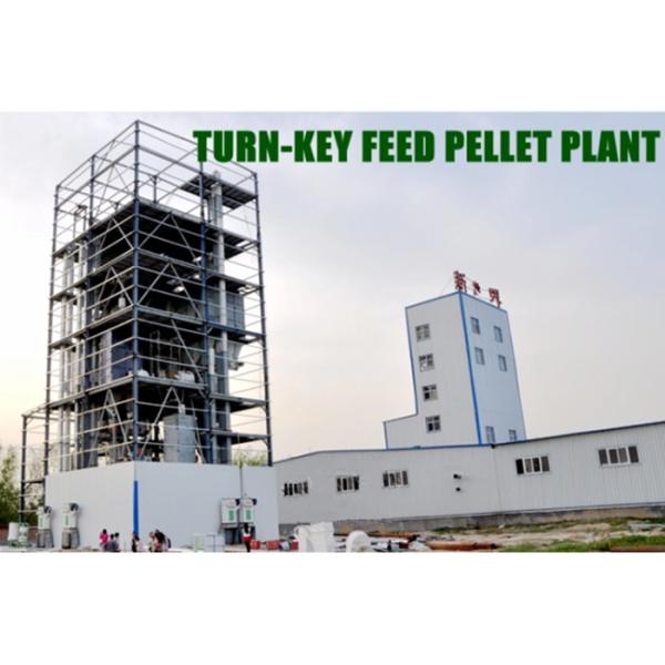 Farm Animal Feed Making Machine Pig Cattle Feed Pellet Plant With Solution Design