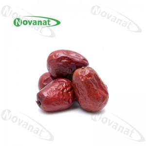  Food Grade Organic Dried Herbs Chinese Red Dates Jujubes / Rich In Vitamin Organic Acids Manufactures