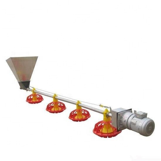 Automatic Feeder Chickens Odm Poultry Feed Line