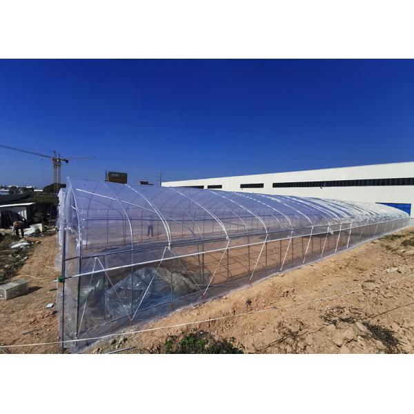 Vegetable Growing Single Span Greenhouse With Shade Net Covering Material Anti-UV Film
