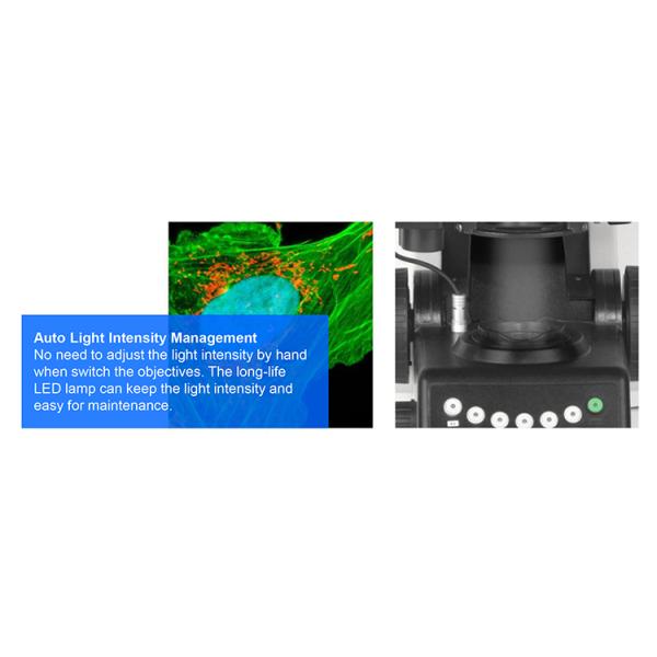 OPTO EDU A16.1093-L Trinocular LED Upright Fluorescent Light Microscope Semi Auto