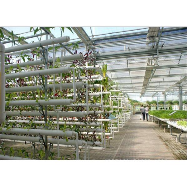 Plastic Film Low Cost Greenhouse , Hydroponic Plastic Greenhouse Accessible To Remove
