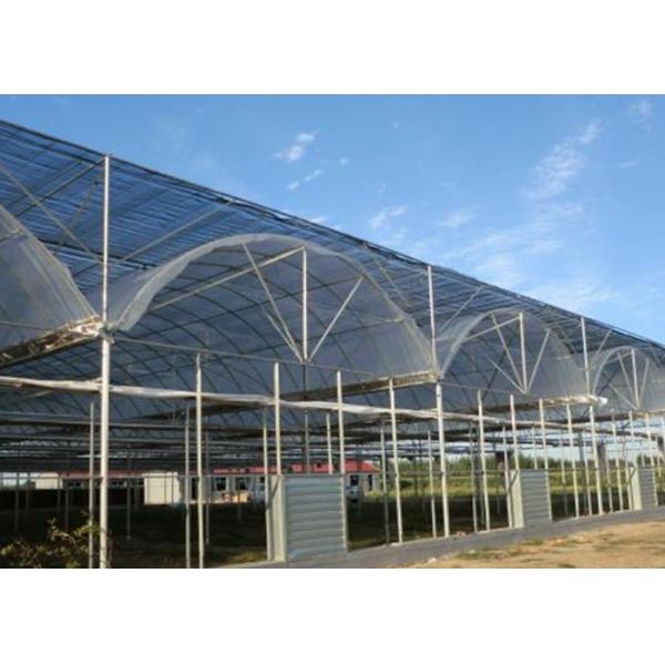 Thermal Insulation Single Span Tunnel Plastic Film Greenhouse