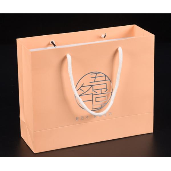 Silver Foil CMYK Colors Printed Coated Kraft Paper Packaging Bags 250gsm